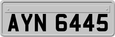 AYN6445