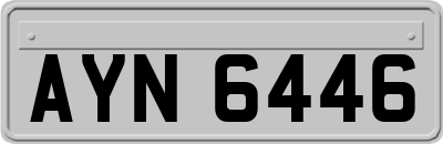 AYN6446