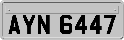 AYN6447