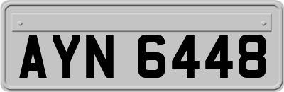 AYN6448