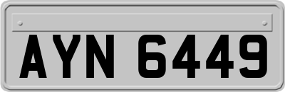 AYN6449
