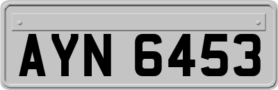 AYN6453