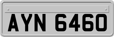 AYN6460