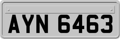 AYN6463