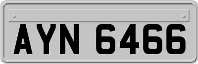 AYN6466