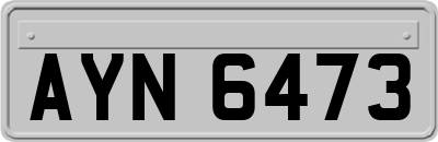 AYN6473