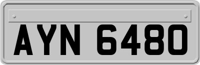 AYN6480