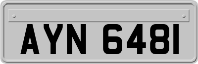 AYN6481