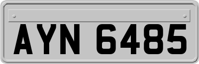 AYN6485