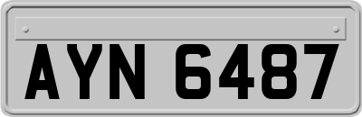 AYN6487