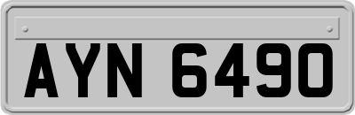 AYN6490