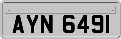 AYN6491