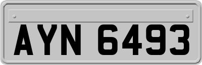 AYN6493