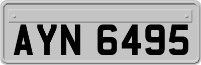 AYN6495