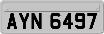 AYN6497