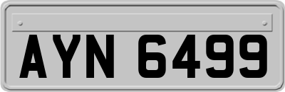 AYN6499