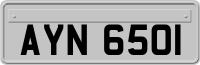 AYN6501