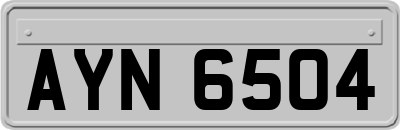 AYN6504