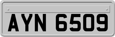 AYN6509