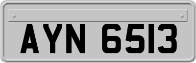 AYN6513