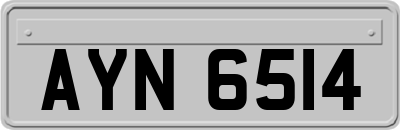 AYN6514