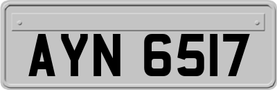 AYN6517