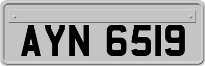 AYN6519
