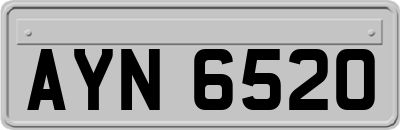 AYN6520
