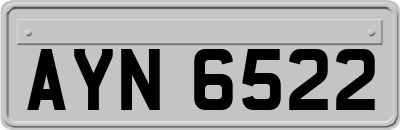 AYN6522