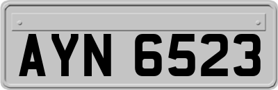 AYN6523