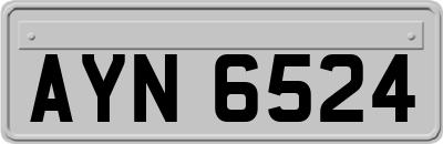 AYN6524