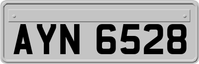 AYN6528