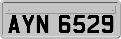 AYN6529