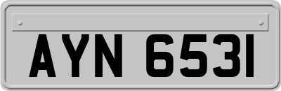 AYN6531