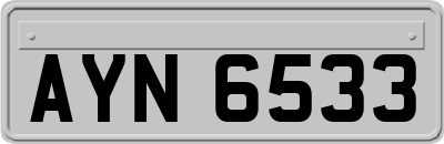 AYN6533