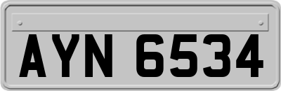 AYN6534