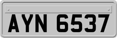 AYN6537