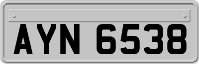AYN6538