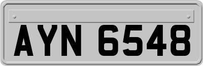 AYN6548