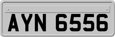 AYN6556