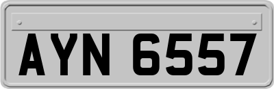 AYN6557