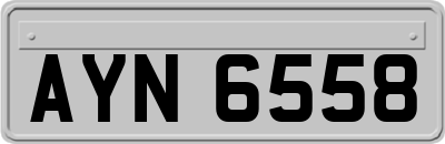 AYN6558