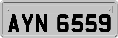 AYN6559