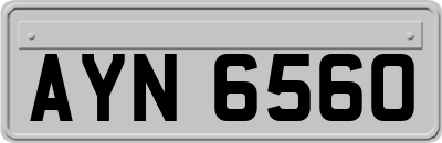 AYN6560