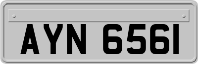 AYN6561