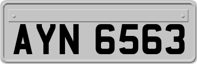 AYN6563