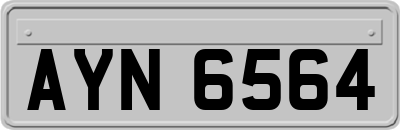 AYN6564