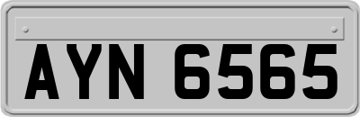 AYN6565