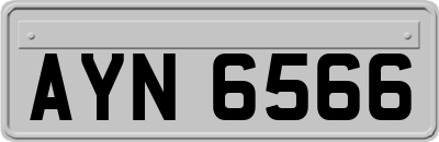AYN6566