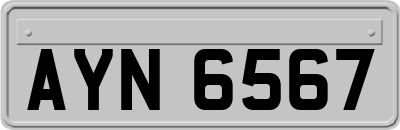 AYN6567